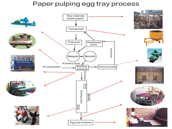 egg tray making process