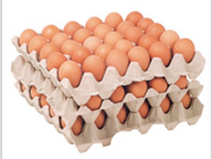 egg tray