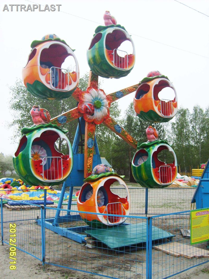 Mini Ferris Wheel for children