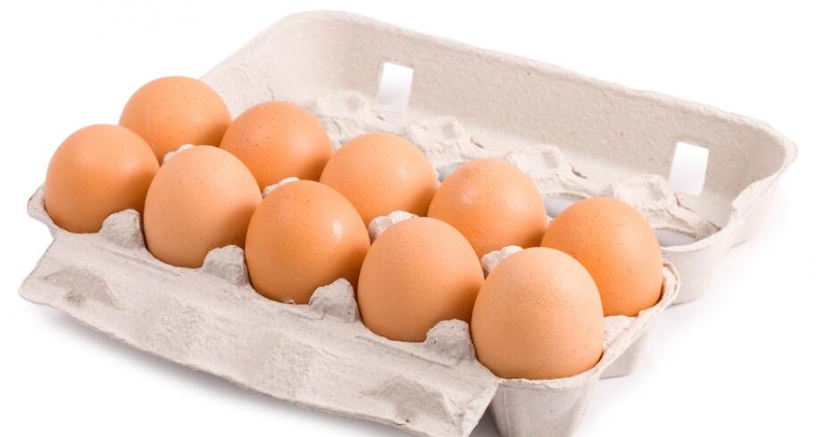 Egg Carton--Pulp Molding Products